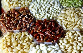اختصاص بیش از ۱۶۳ میلیارد تسهیلات به شرکت‌های تولید بذر در لرستان