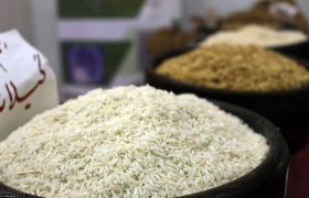 توزیع بیش از ۹۰ تُن برنج در سلسله
