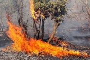 نزدیک به ۱۳۰۰ هکتار از جنگل‌ها و مراتع لرستان دچار آتش‌سوزی شده‌اند
