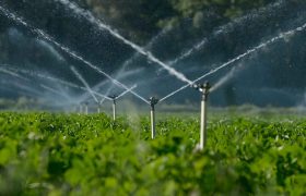 آغاز سه پروژه توسعه سیستم‌های نوین آبیاری اراضی کشاورزی در لرستان