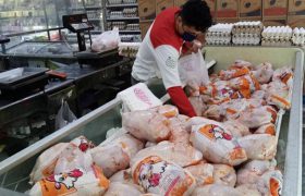 ۵۲۵ تن مرغ منجمد در لرستان ذخیره شده است