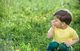 عوامل آلرژی کودکان را بهتر بشناسیم