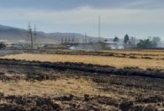 ممنوعیت سوزاندن بقایای گیاهی در زمین‌های کشاورزی