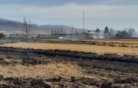 ممنوعیت سوزاندن بقایای گیاهی در زمین‌های کشاورزی