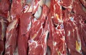توصیه دام‌پزشکی لرستان: شهروندان گوشت سفید و قرمز مورد نیاز خود را از مراکز مجاز تهیه کنند