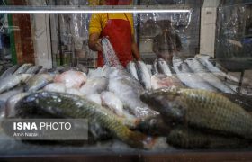 ممنوعیت صید ماهی در لرستان