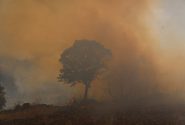 پایش هوایی آتش‌سوزی‌ جنگل‌های پل‌دختر