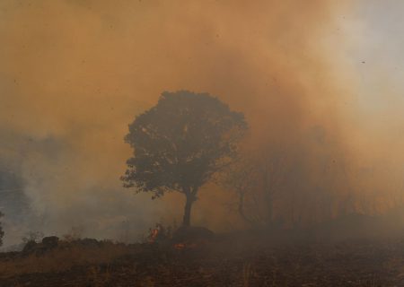 پایش هوایی آتش‌سوزی‌ جنگل‌های پل‌دختر